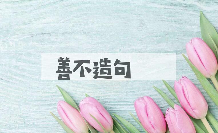 用善不造句