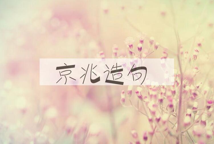 用京兆造句