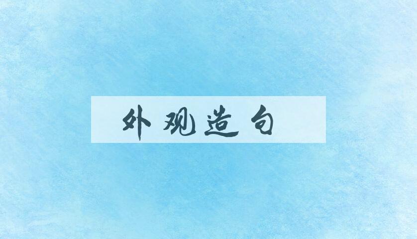 用外观造句