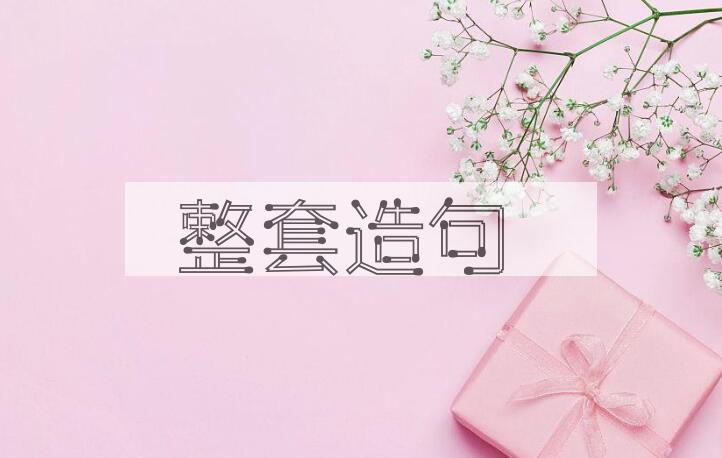用整套造句