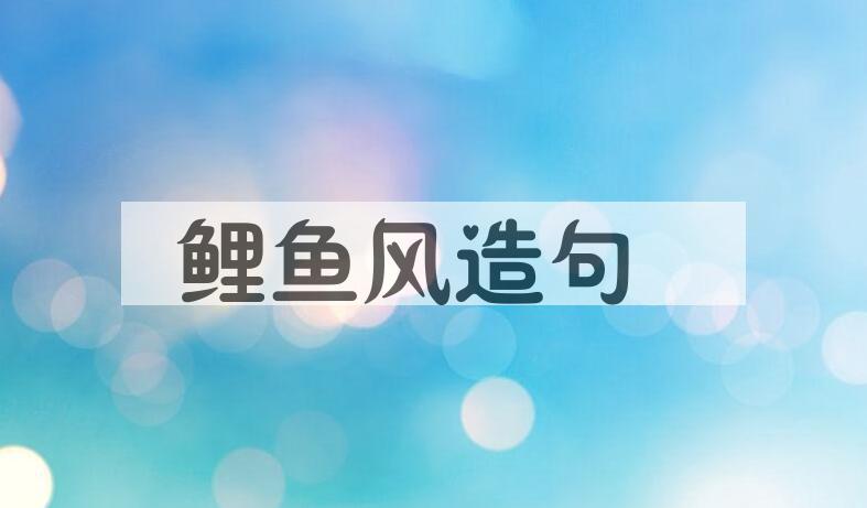 用鲤鱼风造句