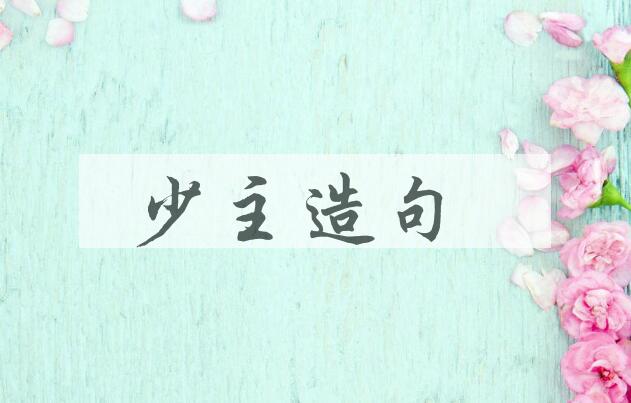 用少主造句