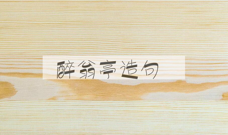 用醉翁亭造句