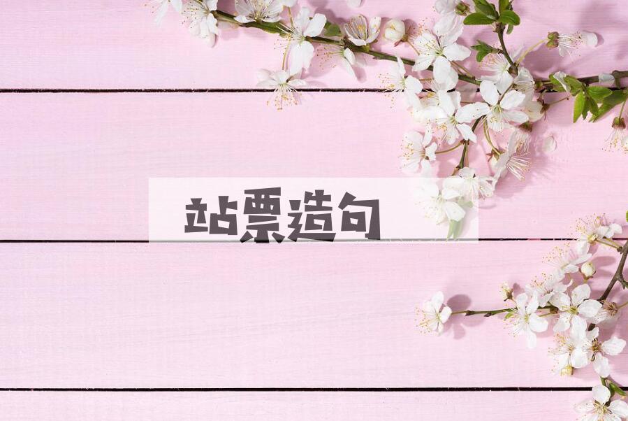 用站票造句