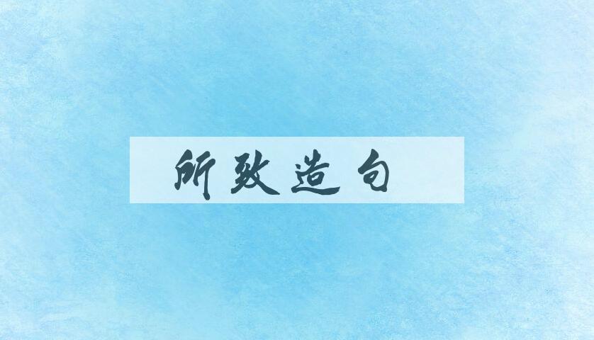 用所致造句