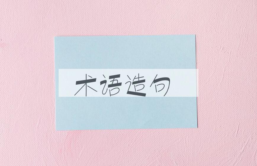 用术语造句