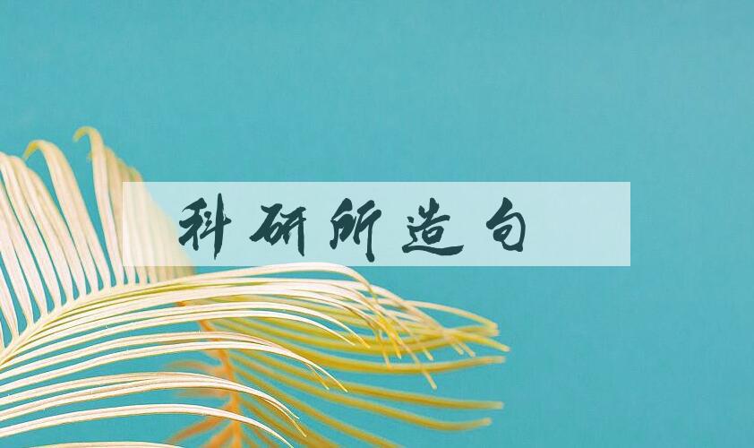 用科研所造句