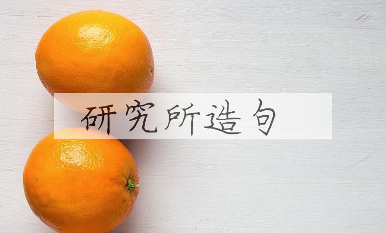 用研究所造句