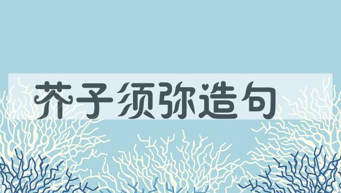 用芥子须弥造句