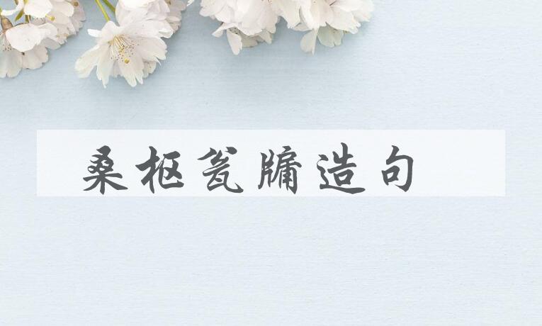 用桑枢瓮牖造句