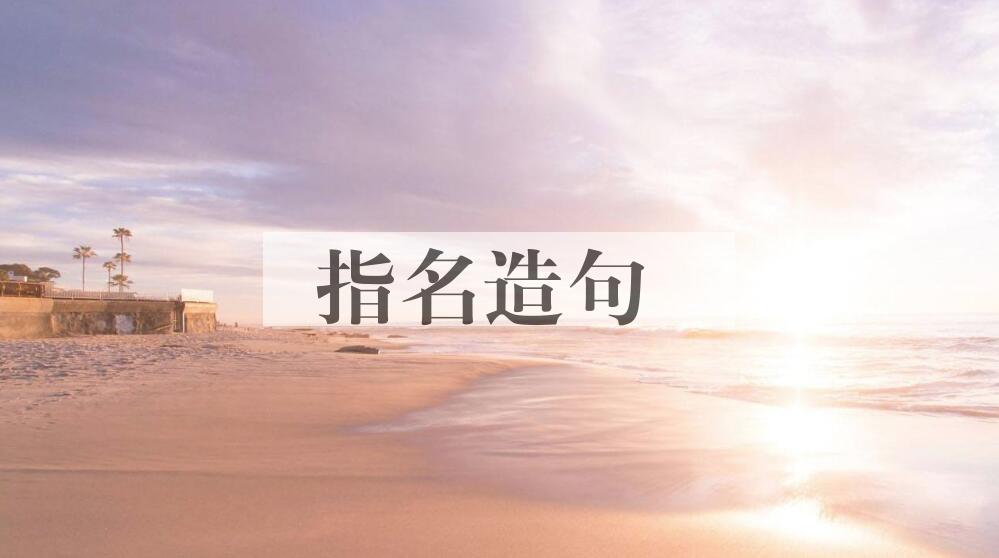 用指名造句