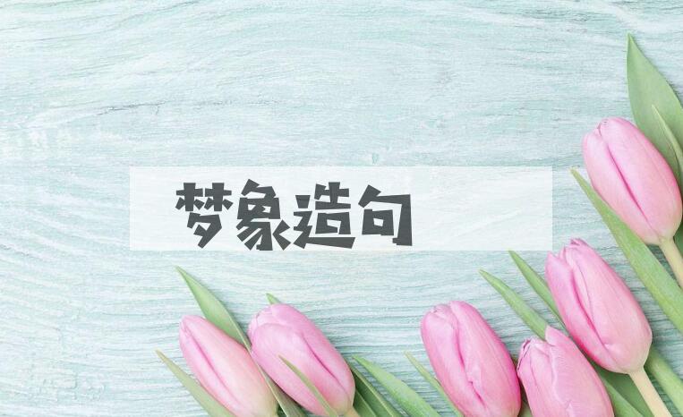用梦象造句