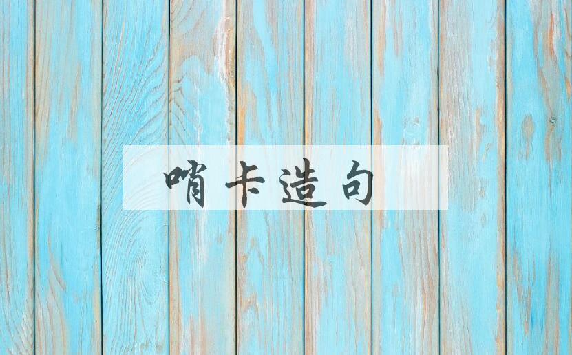 用哨卡造句