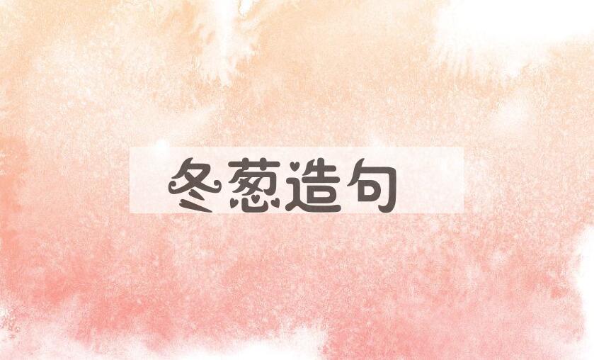 用冬葱造句