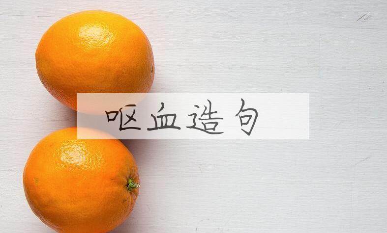 用呕血造句