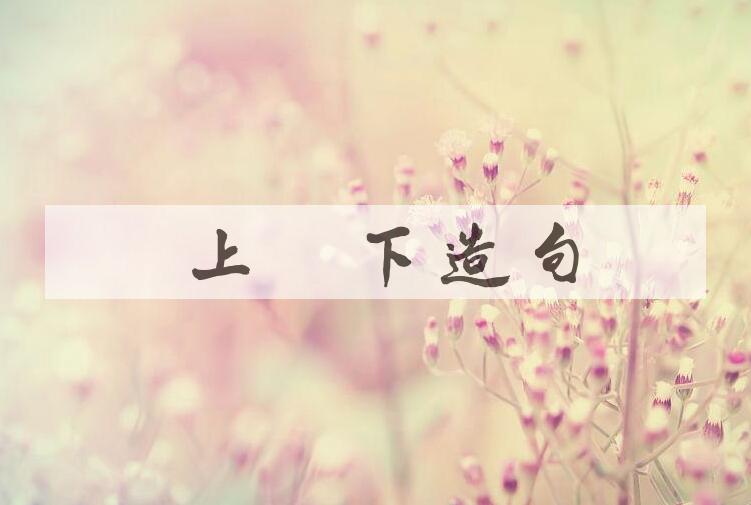 用能上能下造句