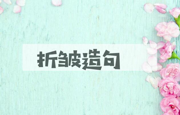 用折皱造句