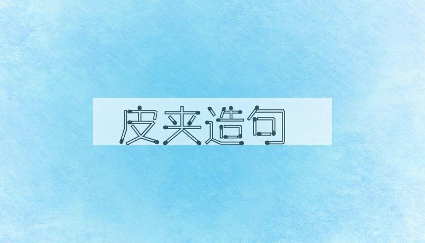 用皮夹造句