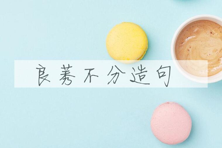 用良莠不分造句