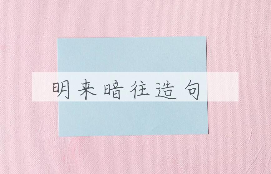 用明来暗往造句