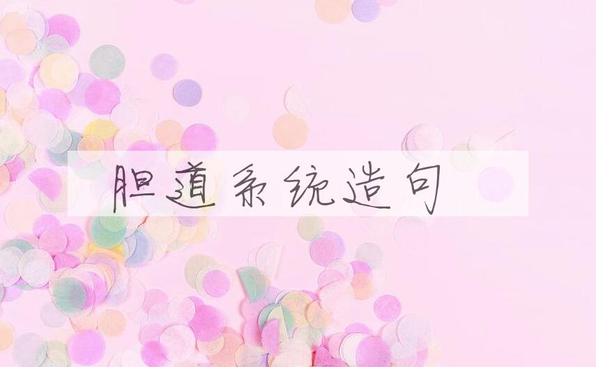 用胆道系统造句