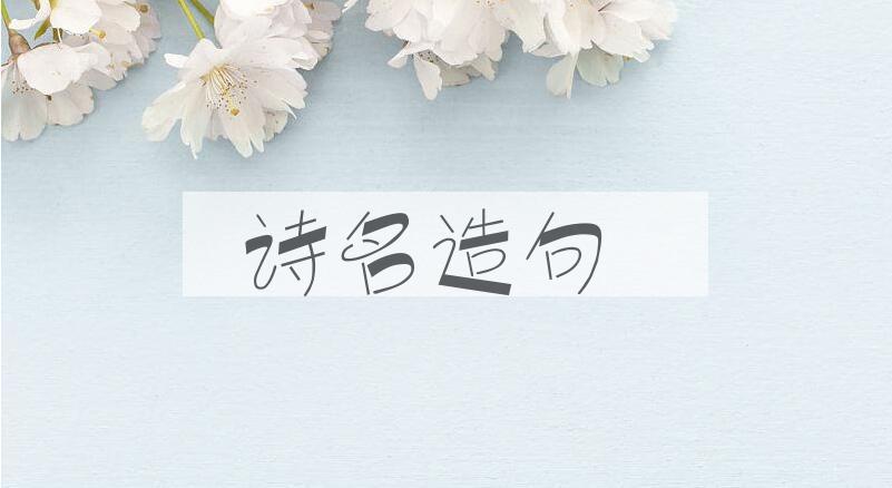 用诗名造句