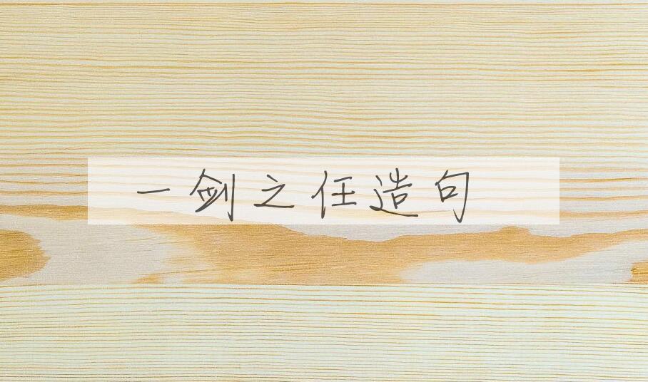 用一剑之任造句