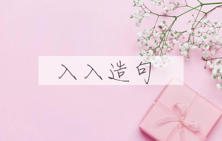 用入入造句