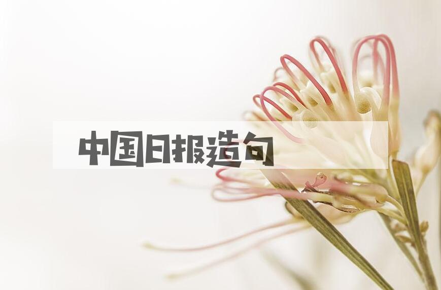 用中国日报造句