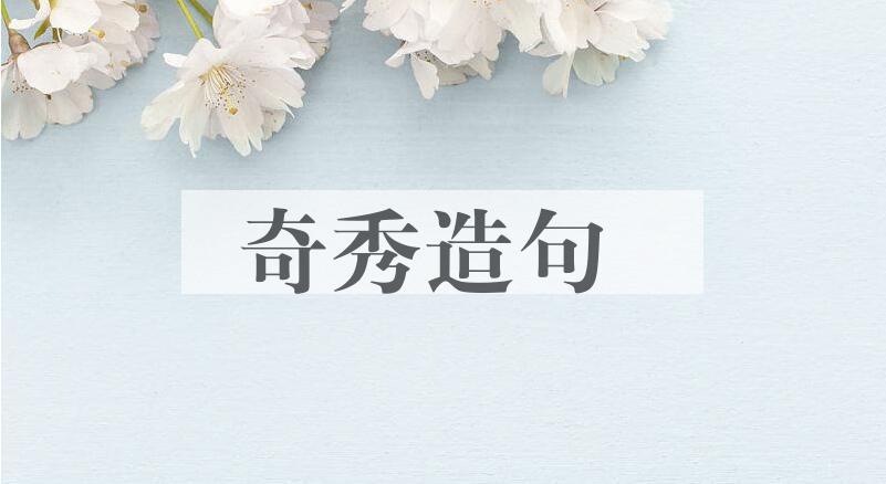 用奇秀造句