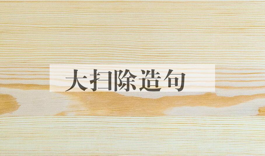 用大扫除造句