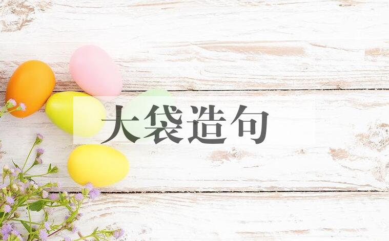 用大袋造句