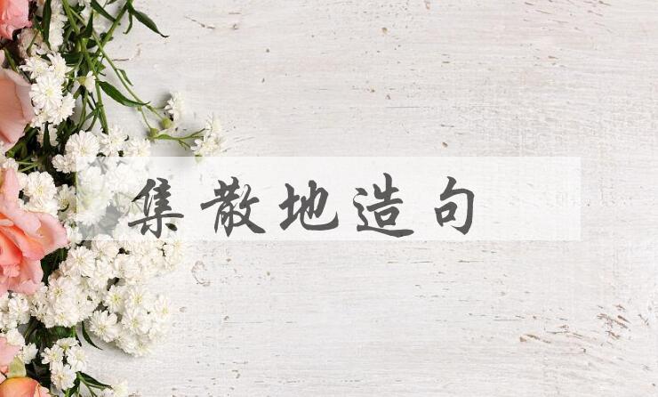 用集散地造句