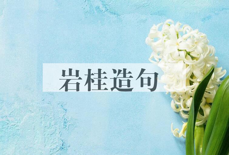 用岩桂造句