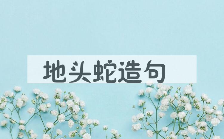 用地头蛇造句