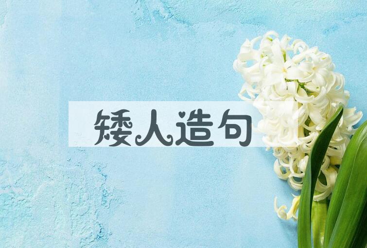 用矮人造句
