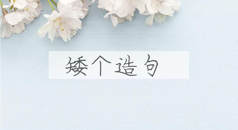 用矮个造句