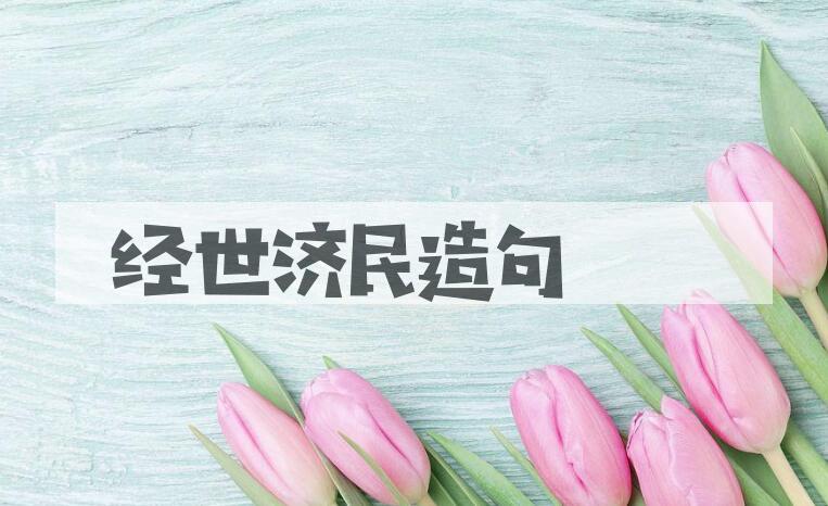 用经世济民造句