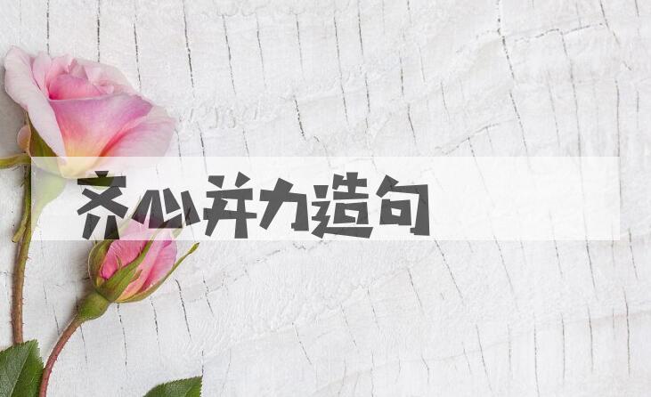 用齐心并力造句