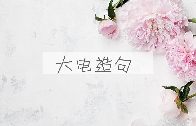 用大电造句