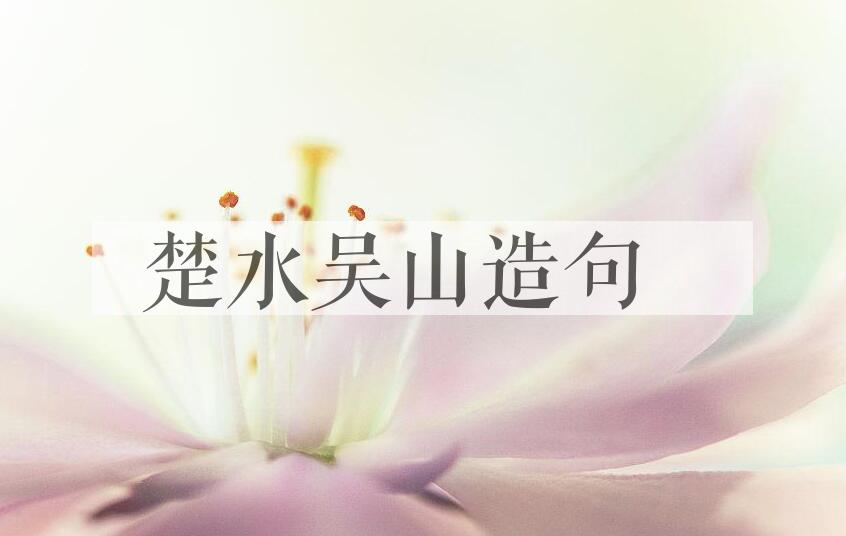 用楚水吴山造句