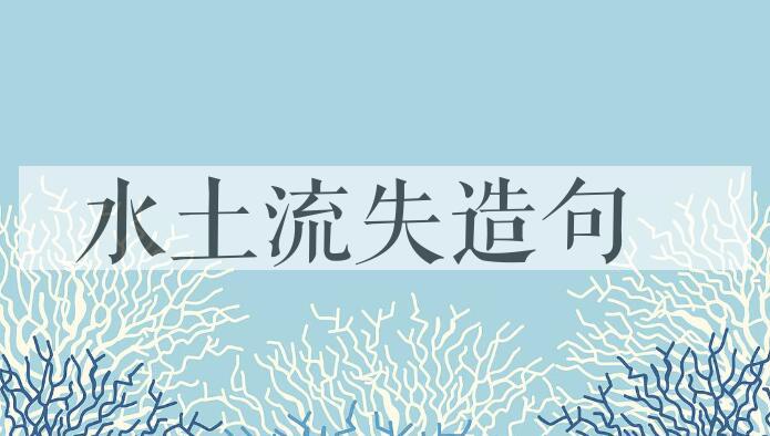 用水土流失造句