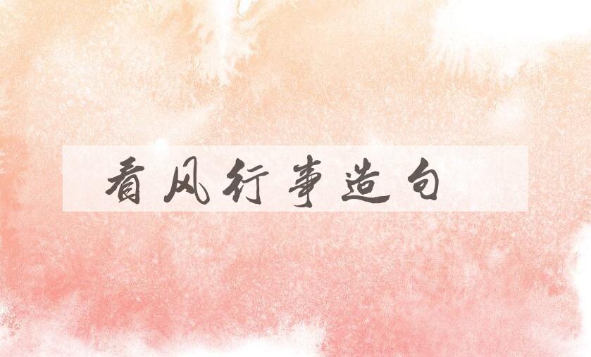 用看风行事造句