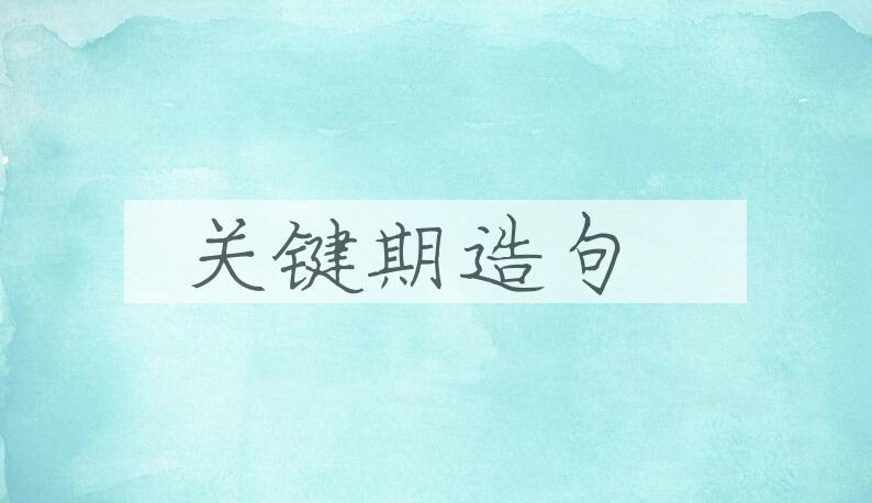 用关键期造句