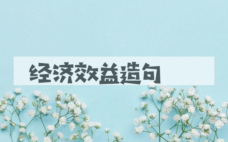 用经济效益造句