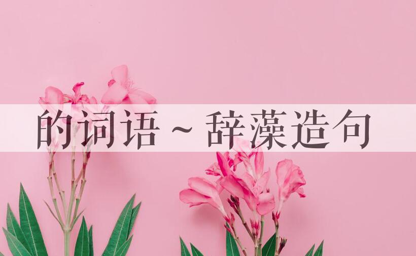 用的词语～辞藻造句