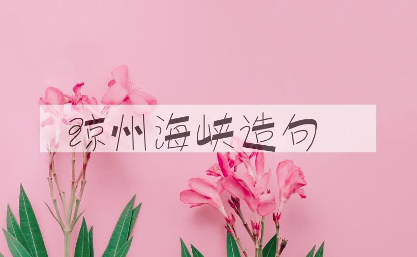 用琼州海峡造句