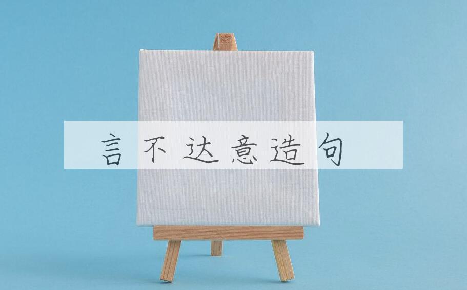 用言不达意造句