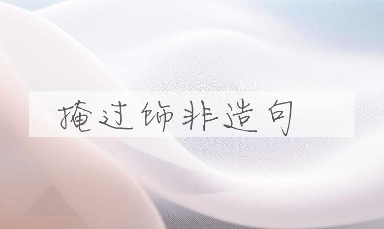 用掩过饰非造句