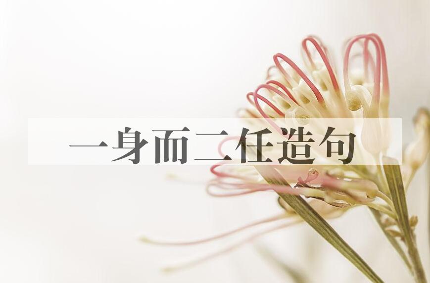 用一身而二任造句